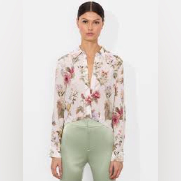 Alice + Olivia Willa Sweet nothings Top 100% Silk blouse - Picture 2 of 16